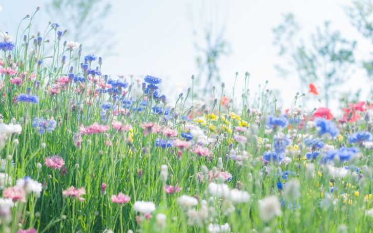 背景