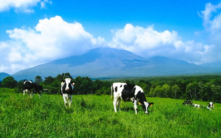 背景