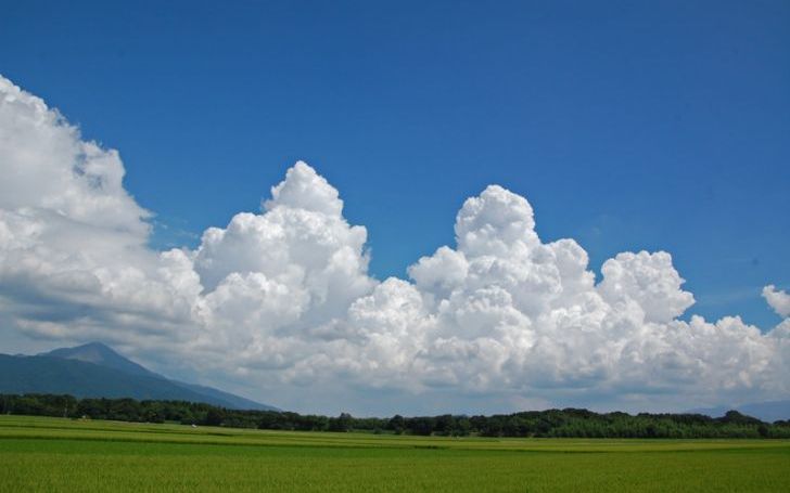 背景