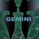 GEMINI-Ⅰ-the void