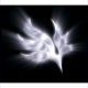 飴玉の唄｜BUMP OF CHICKEN