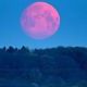 Baby Pink Moon