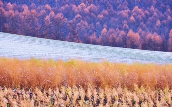 背景