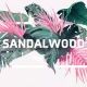 Sandalwood  初音ミク