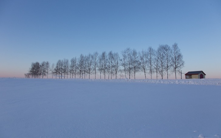 背景