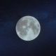 DARK MOON
