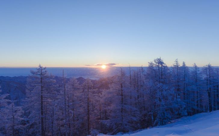 背景