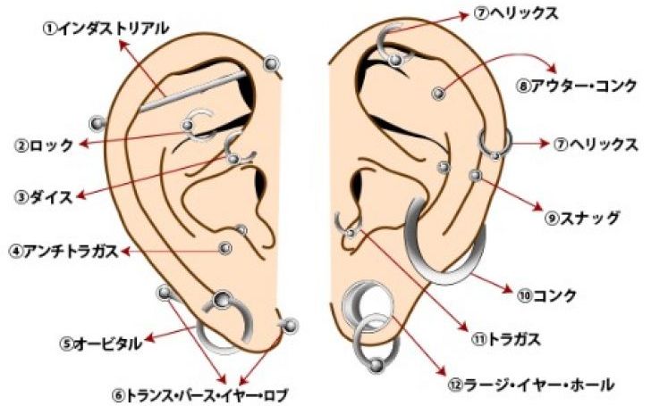 ピアス 位置 タイピング練習の マイタイピング