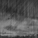 ブルーハーツ　台風