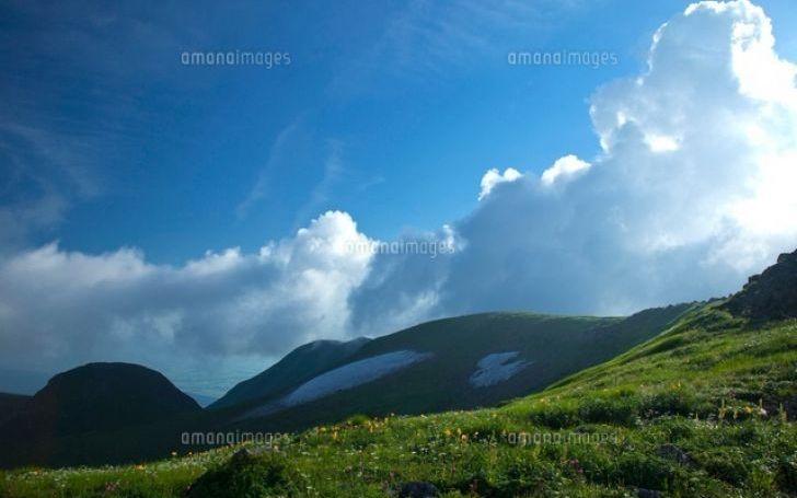 背景