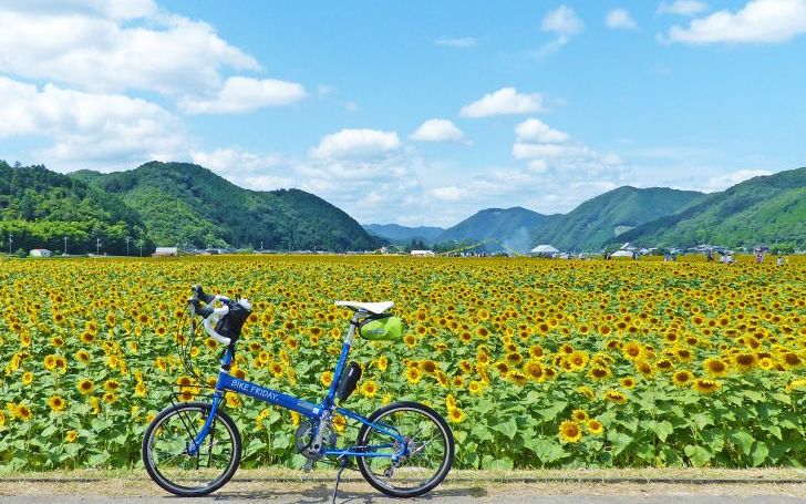 ひまわり日和 じん(自然の敵P) | タイピング練習の「マイタイピング」